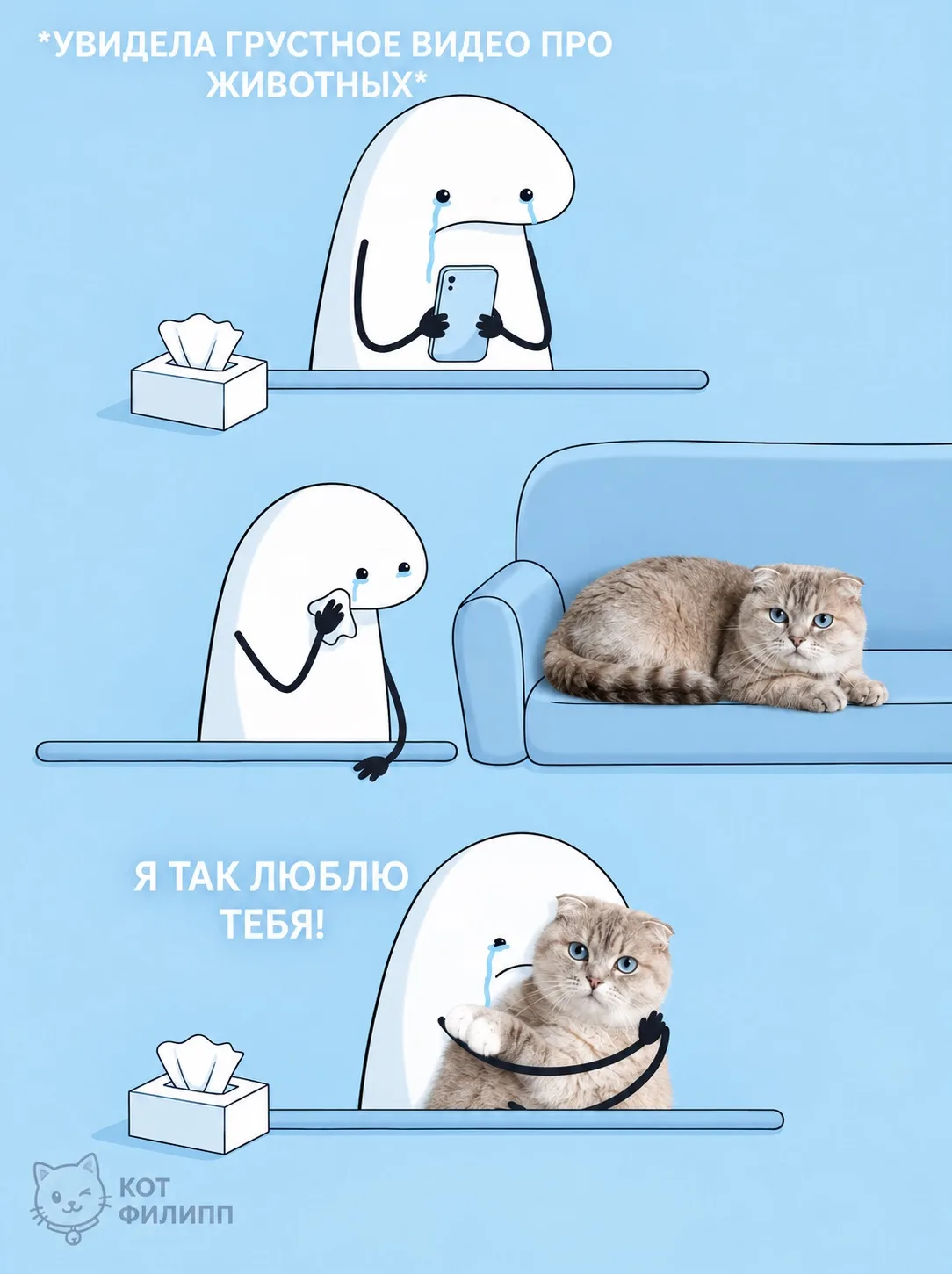 Ну жиза же😸
