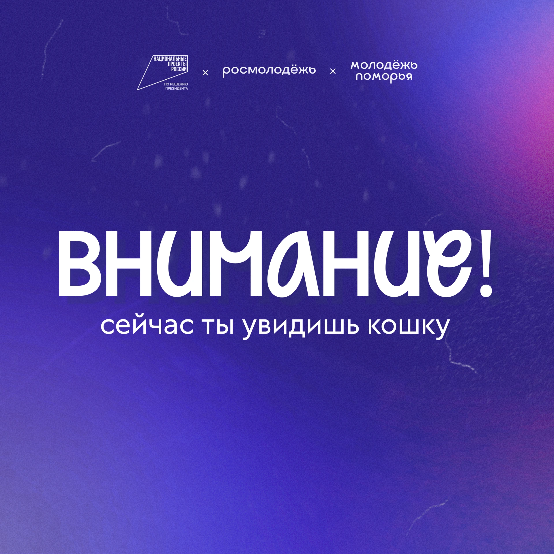 С тобой всё уже понятно – мы на одной волне!