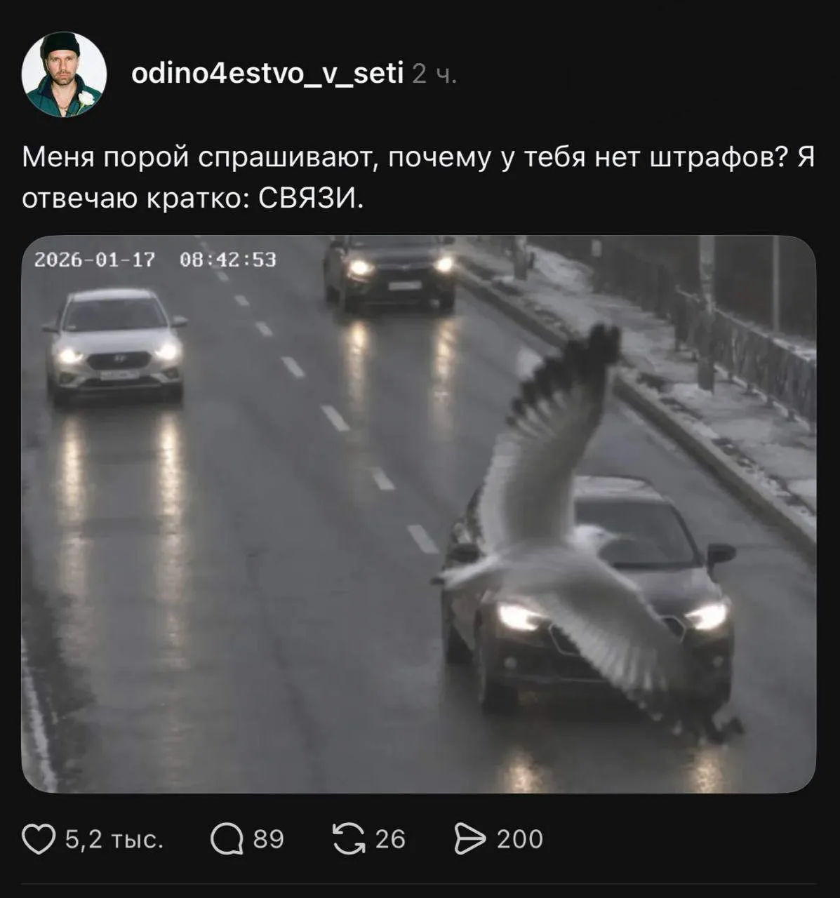 Вывод?