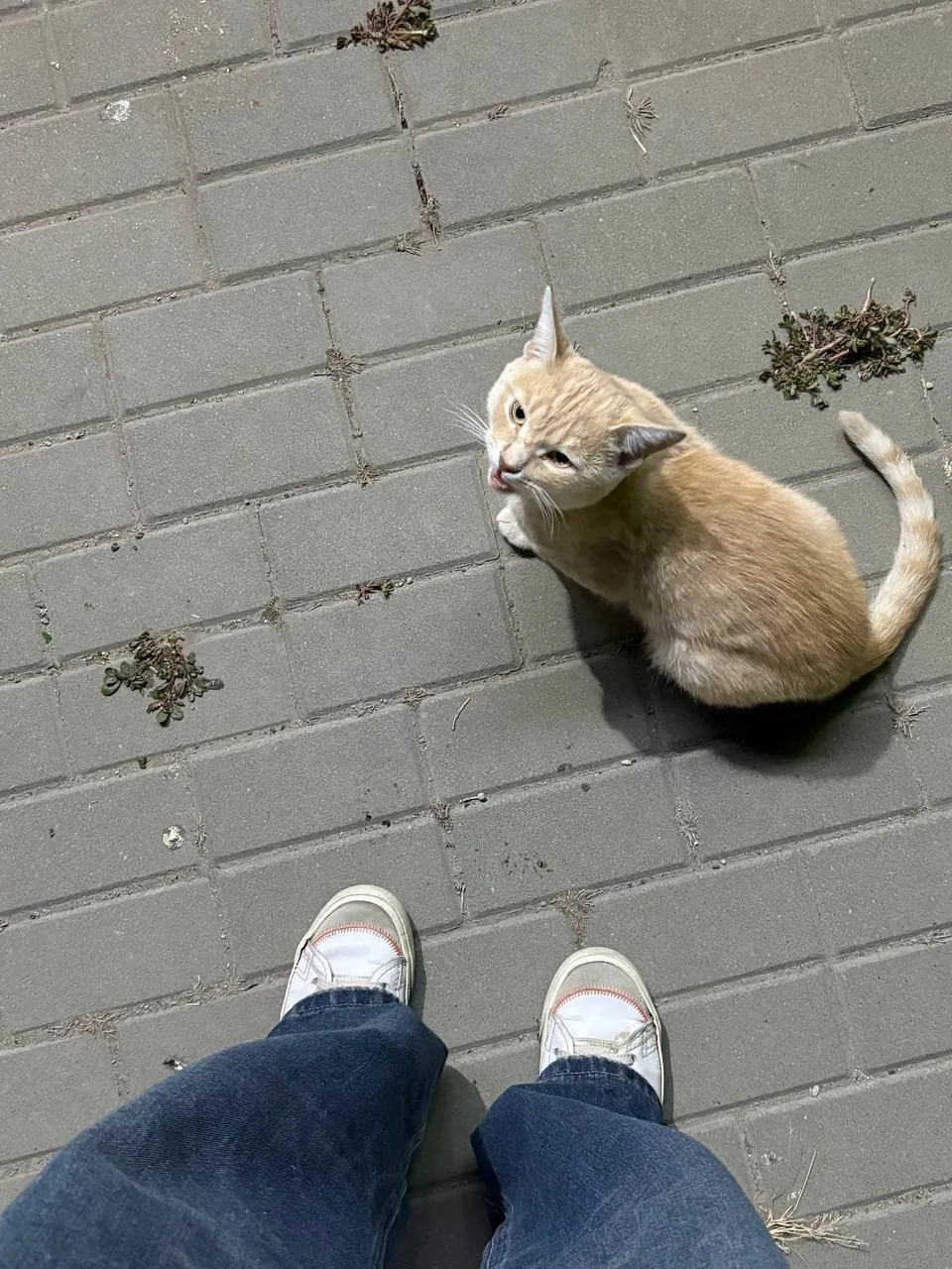 Здравствуйте!