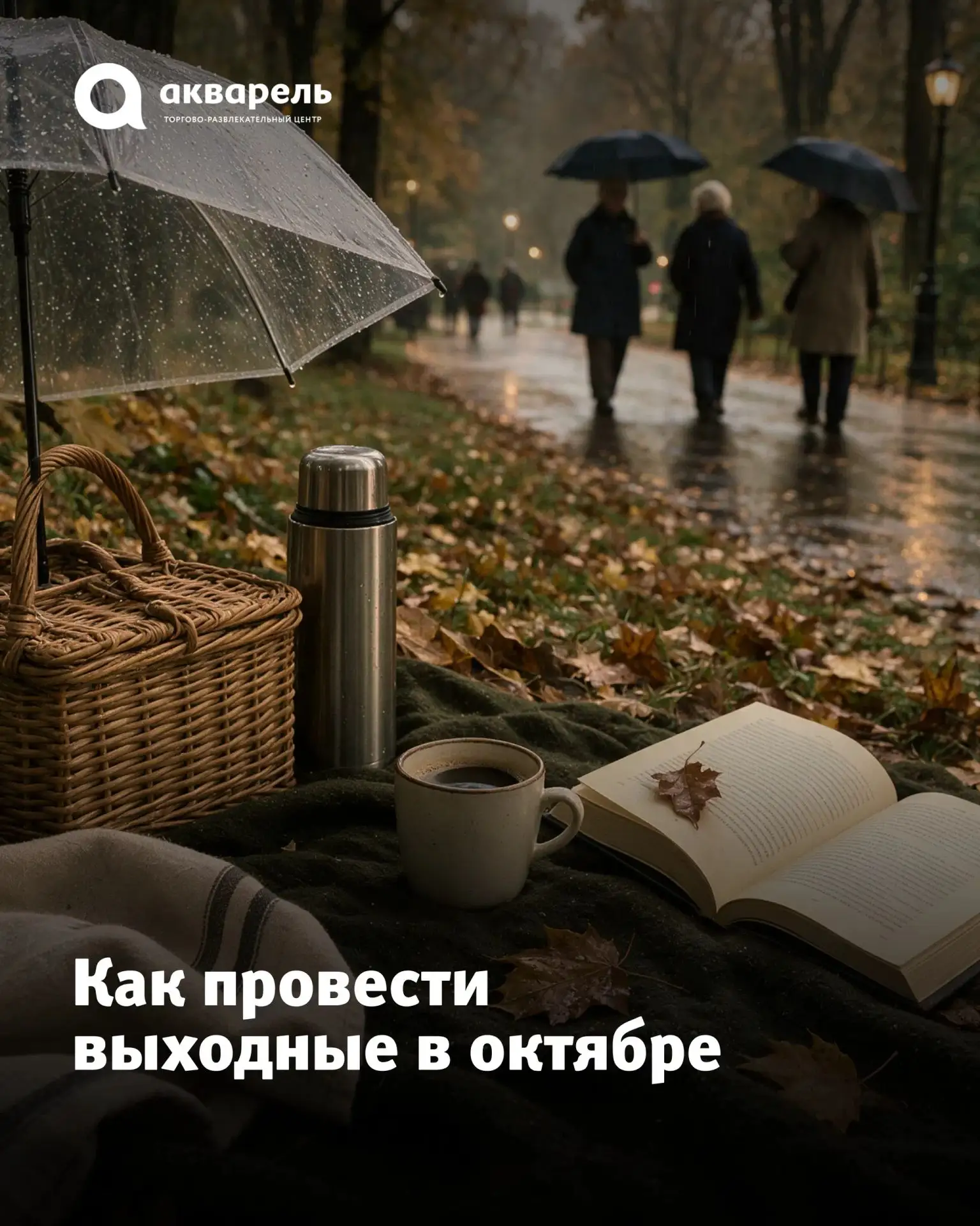 🍄‍🟫 Чем заняться в эти выходные?