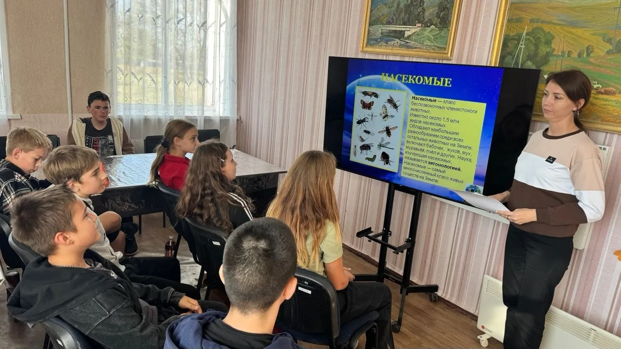 «В царство насекомых» - тематическая игра