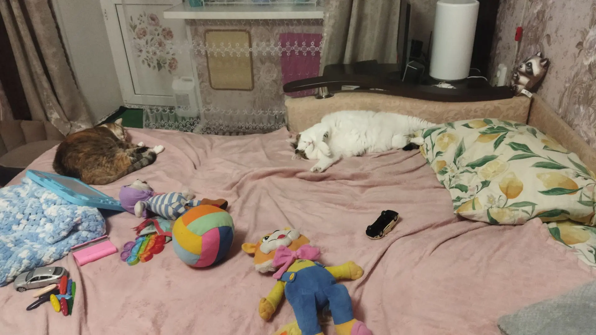 Найди кота? 😽 или двух???