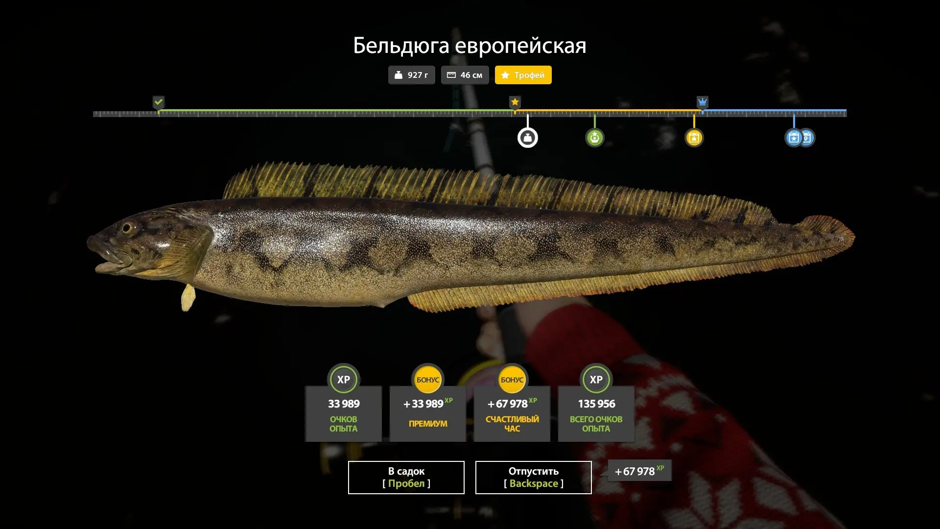 #норвежское