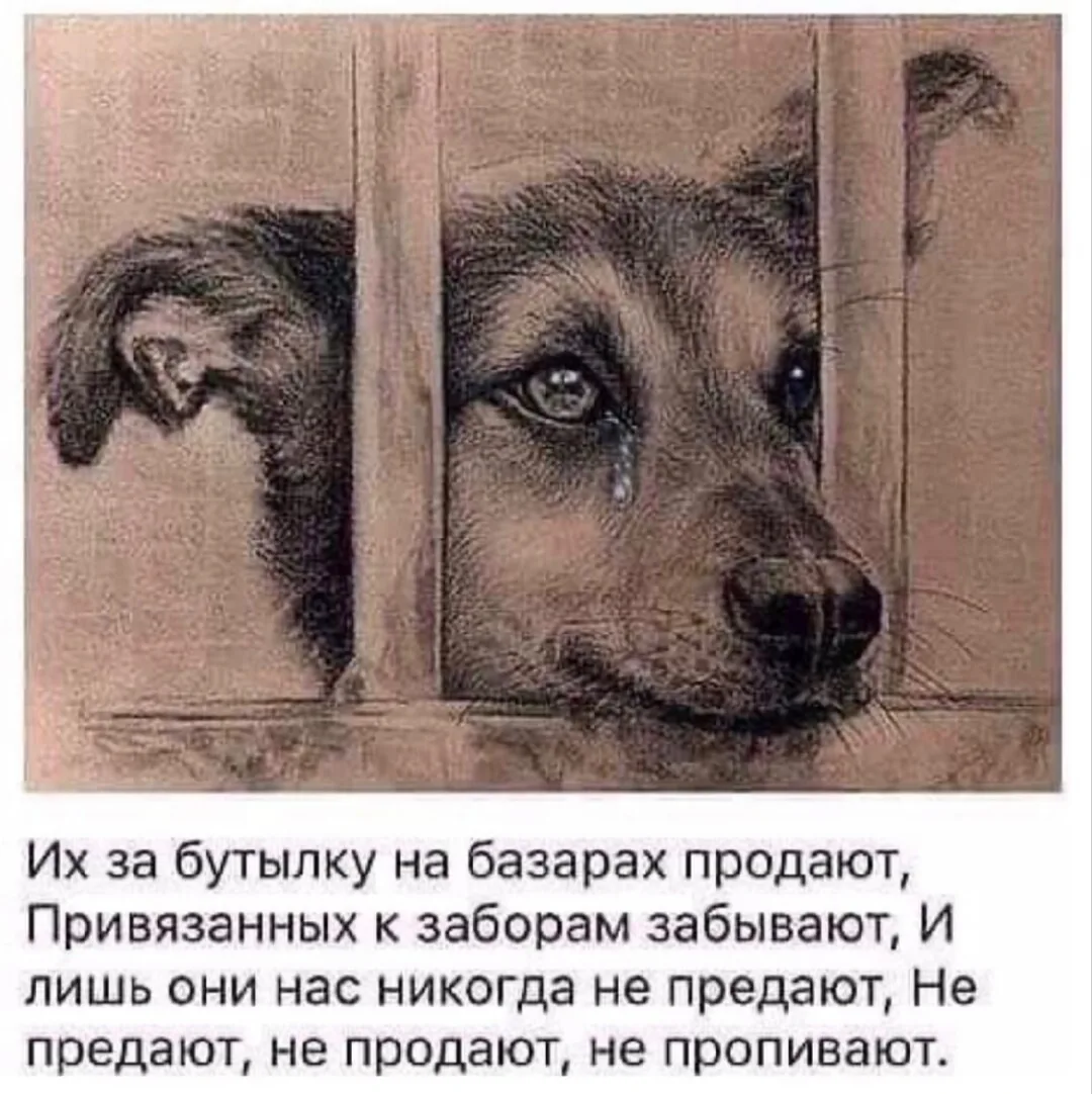 🙏❤