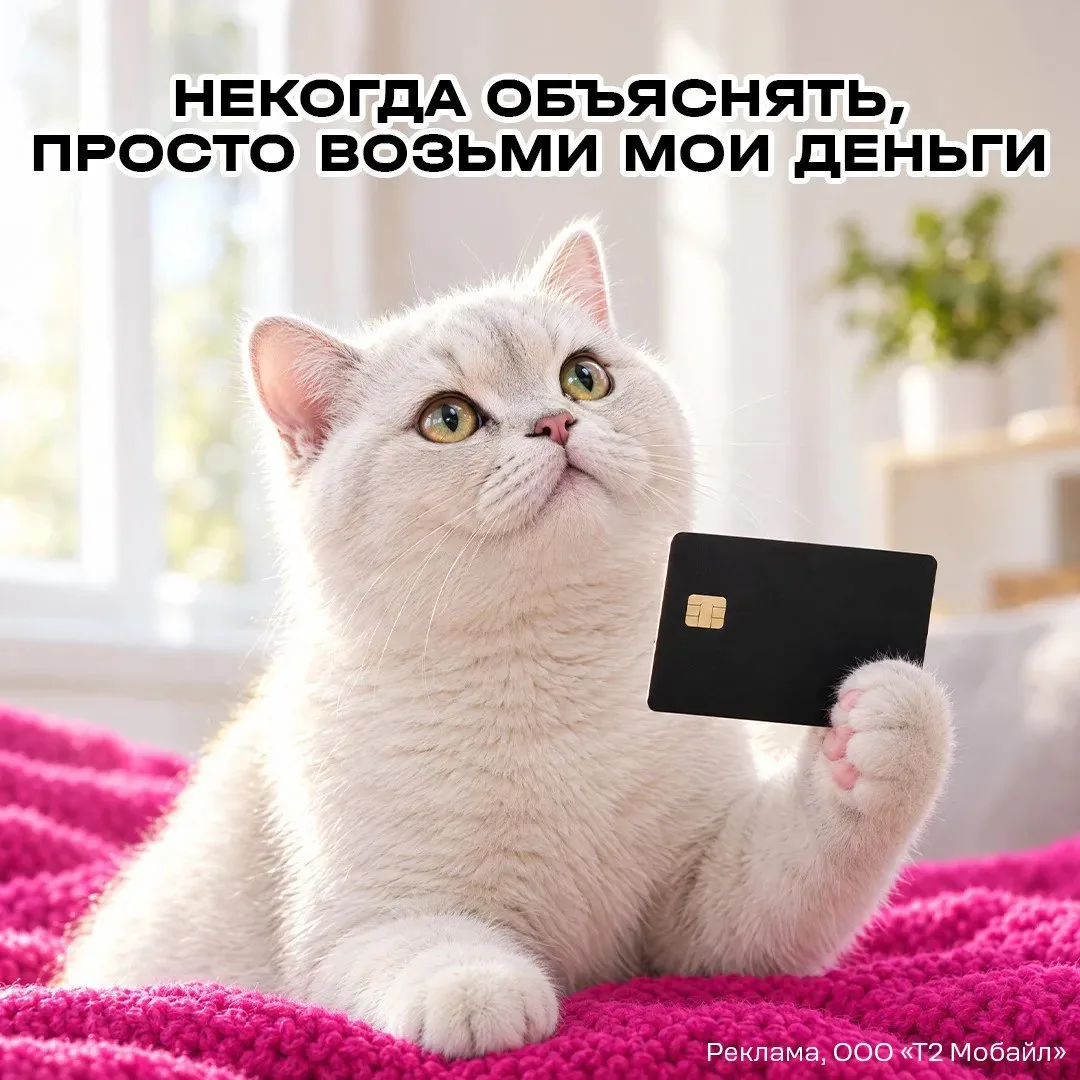 T2 запустил свою виртуальную карту «Мир». Она уже работает в Хабаровском крае👌