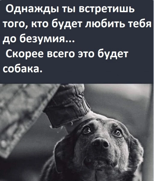 И вам картиночку для настроения))))