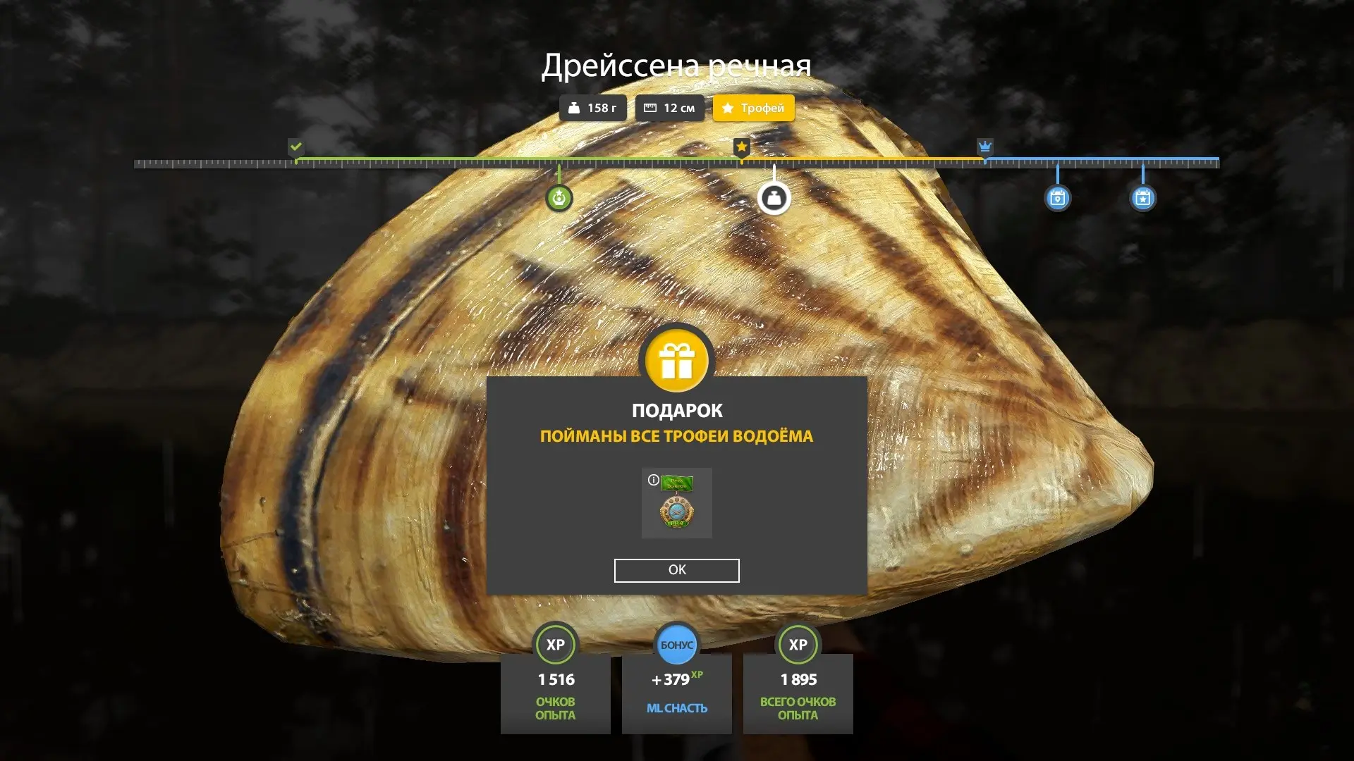 #вьюнок