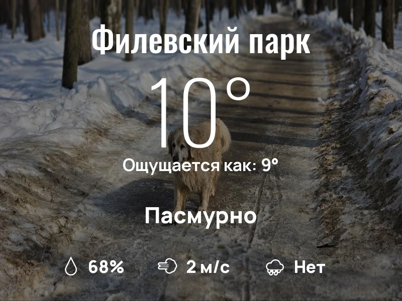 Что с погодой в Филевском парке?