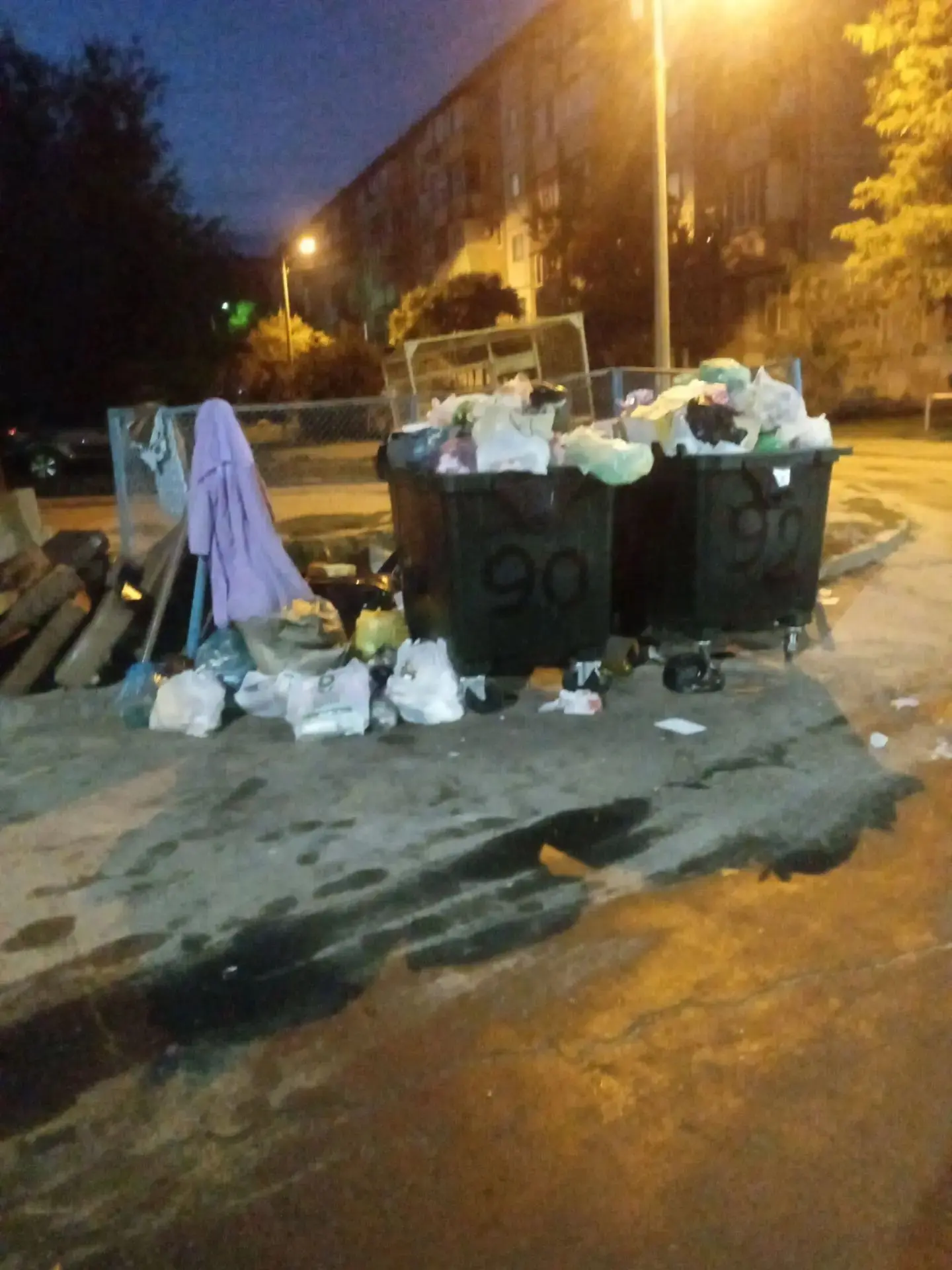 🚨 Два бака на пять многоэтажек: жители улицы Мира утопают в мусоре