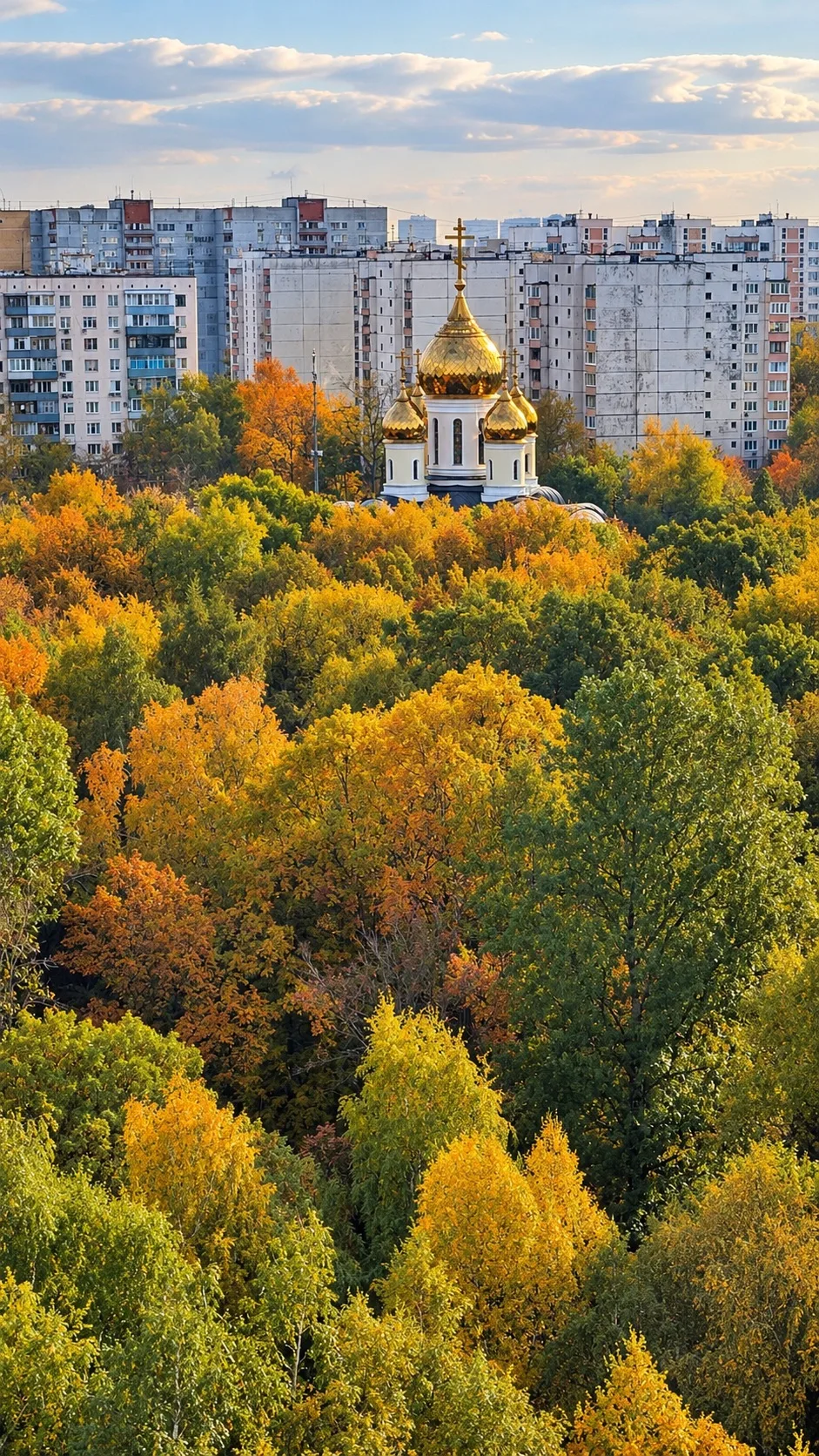 Доброе утро, друзья