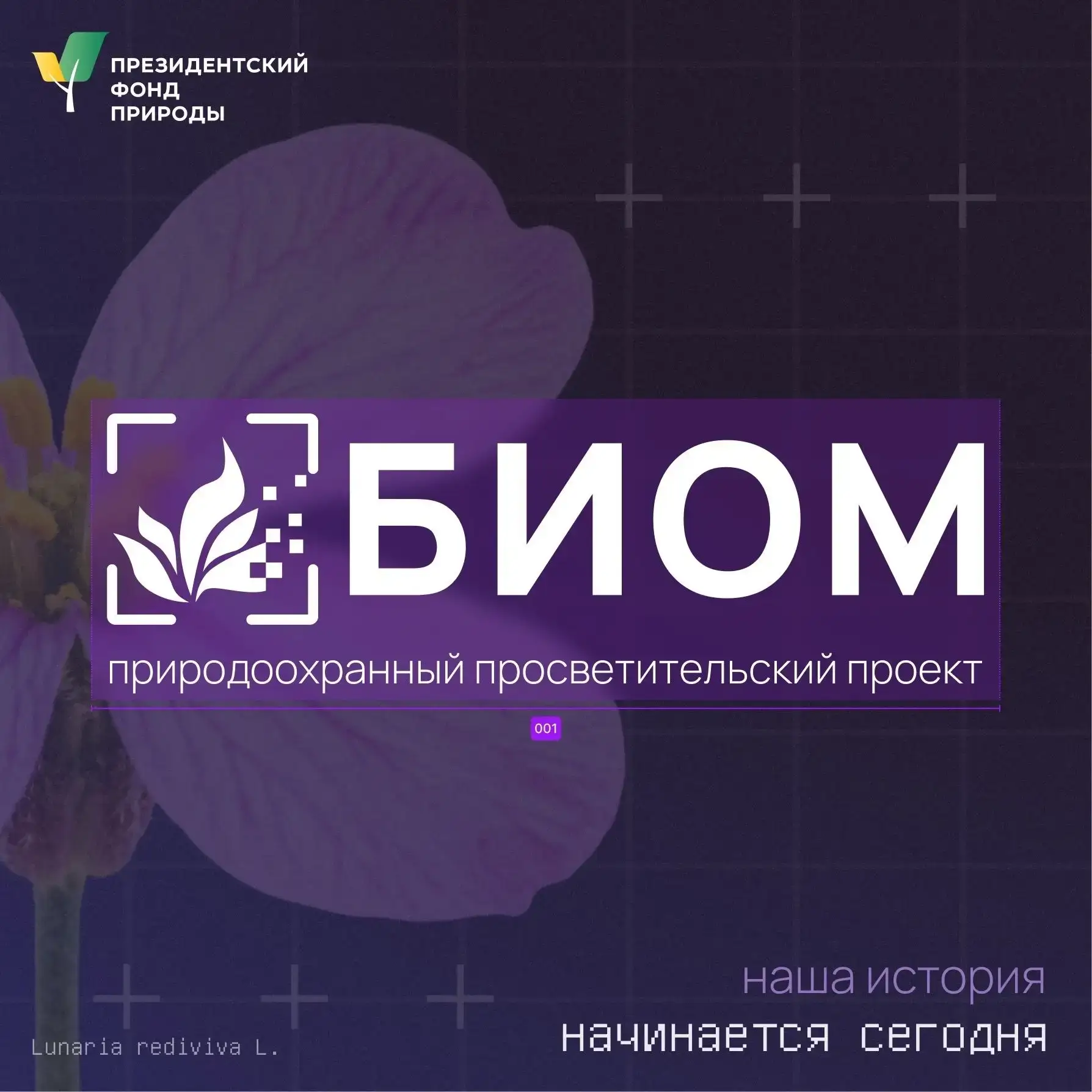 Проект БИОМ (Школьные ботанические лаборатории)