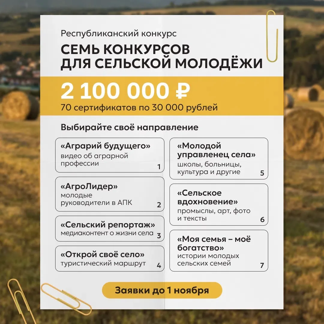 Как проект для родного села может помочь заработать на его реализацию? 🌾