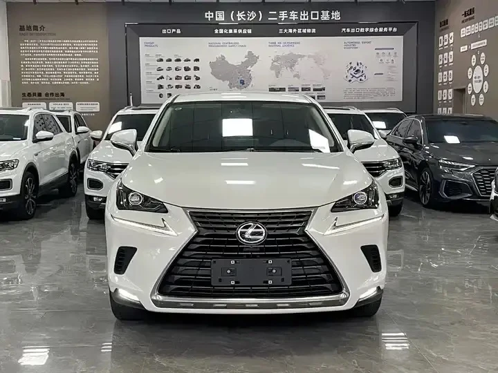 🇯🇵Lexus NX 2020 из Китая