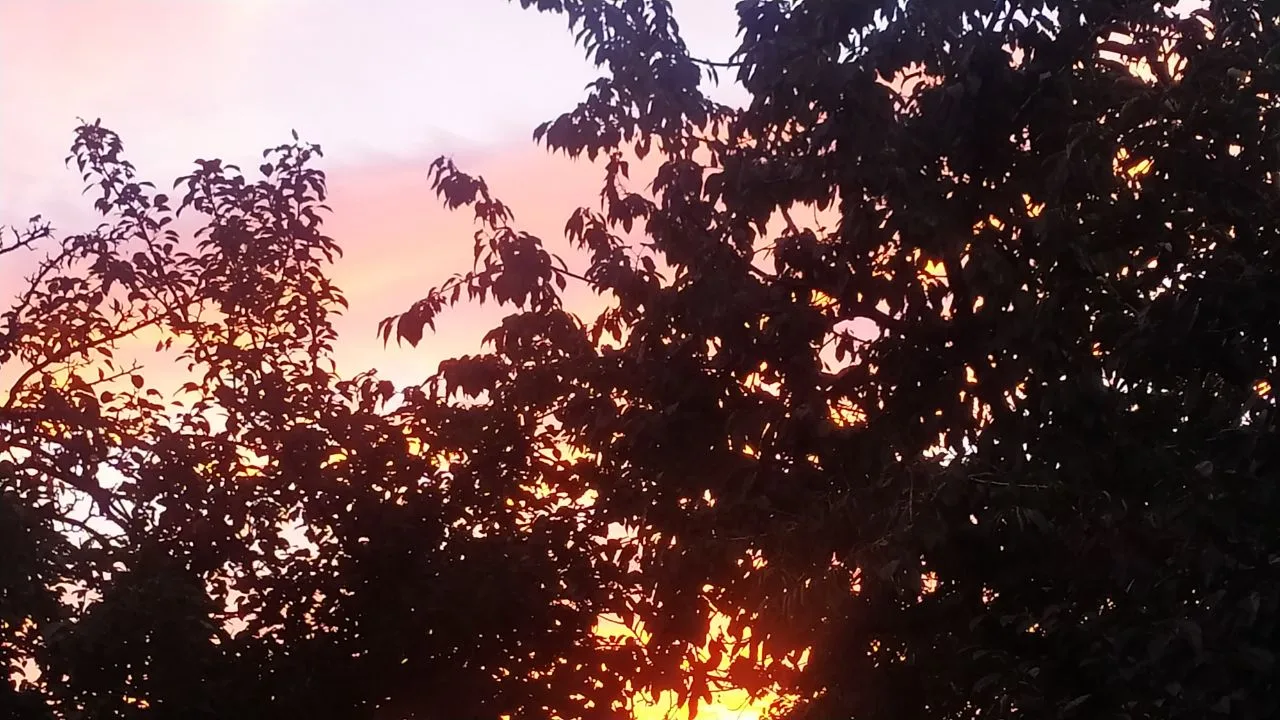 Луганск. Сегодняшняя утренняя заря 🌅
