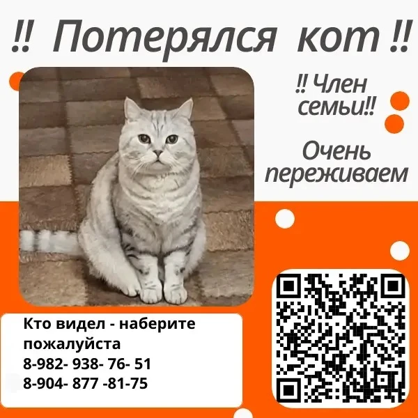 Здравствуйте! Можно разместить? Район метелево - звенящие кедры