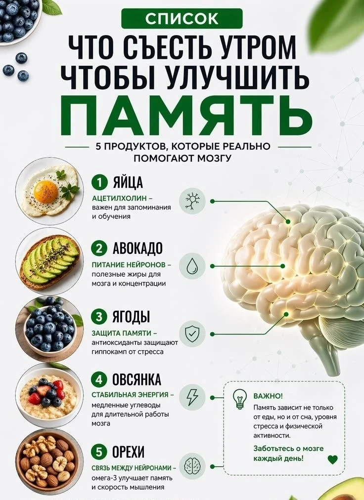 Что съесть утром, чтобы улучшить память.