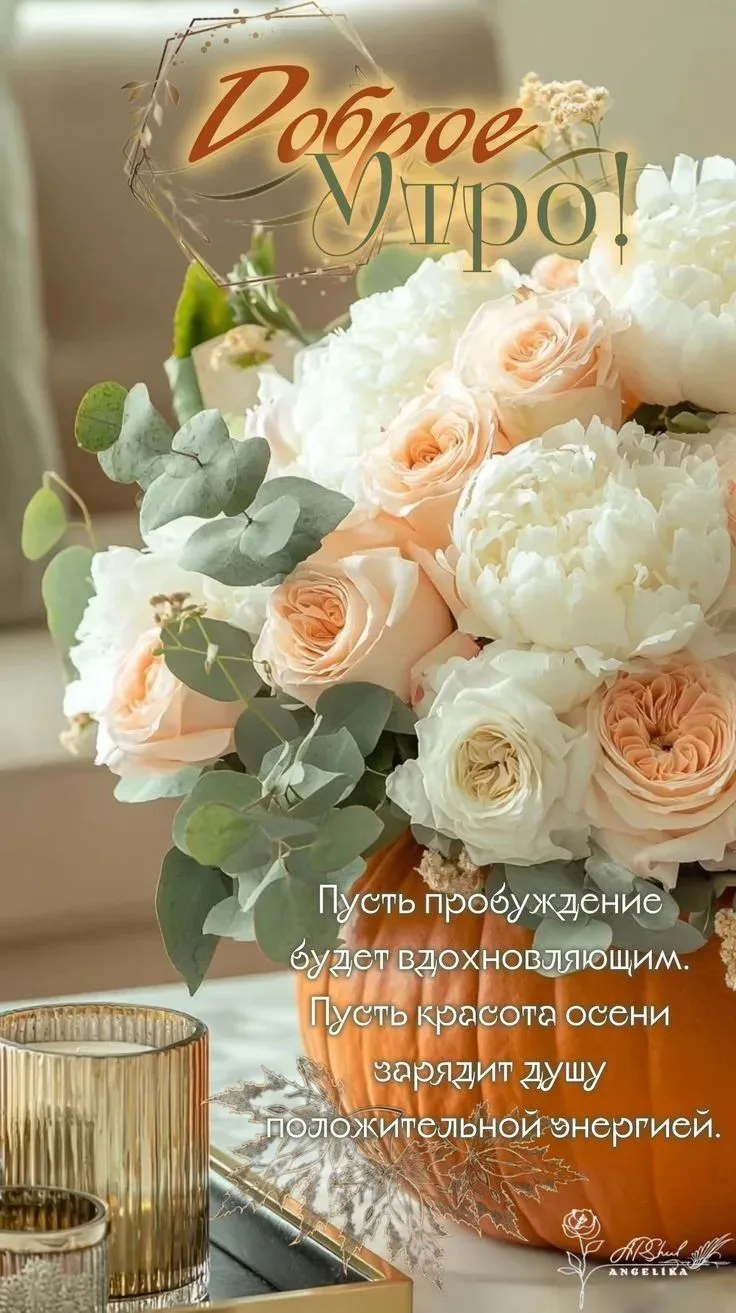 Доброе утро!