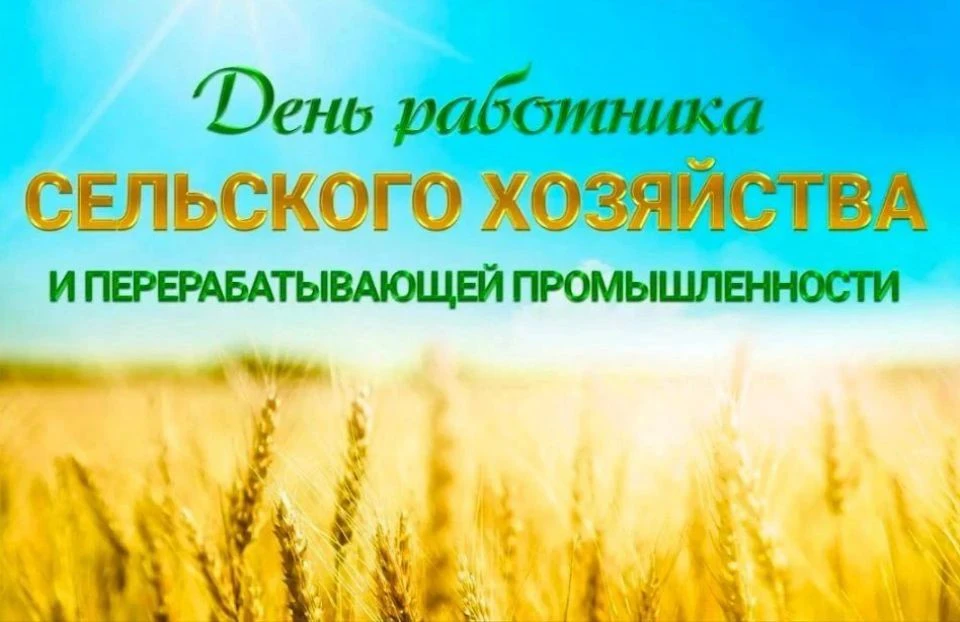 Сегодня, во второе воскресенье октября, вся страна отмечает профессиональный праздник, ...