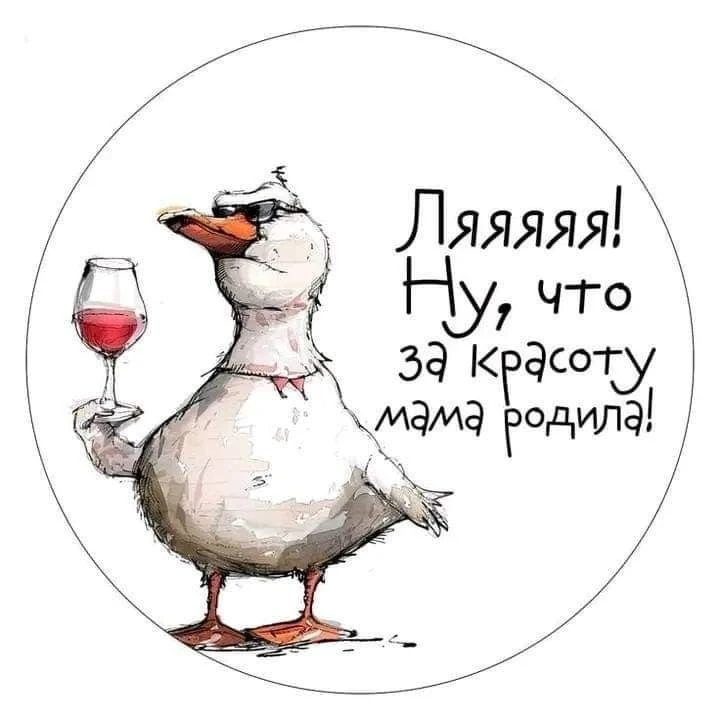 @pozdraf