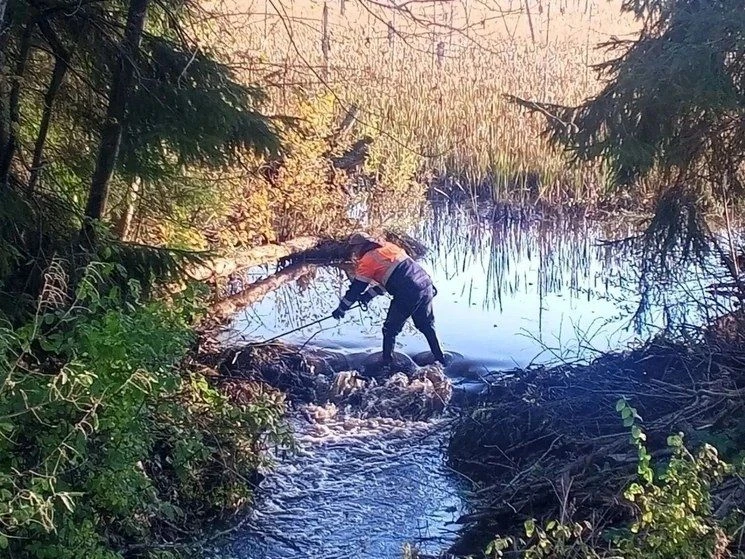 🚧 Дорожники обеспечили водоотвод на 18 участках дорог в девяти округах Новгородской об...