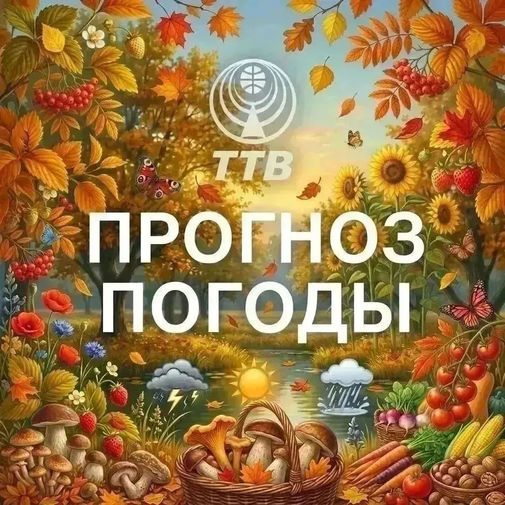 Прогноз погоды в Тулуне и Тулунском районе на воскресенье, 11 октября🍁: