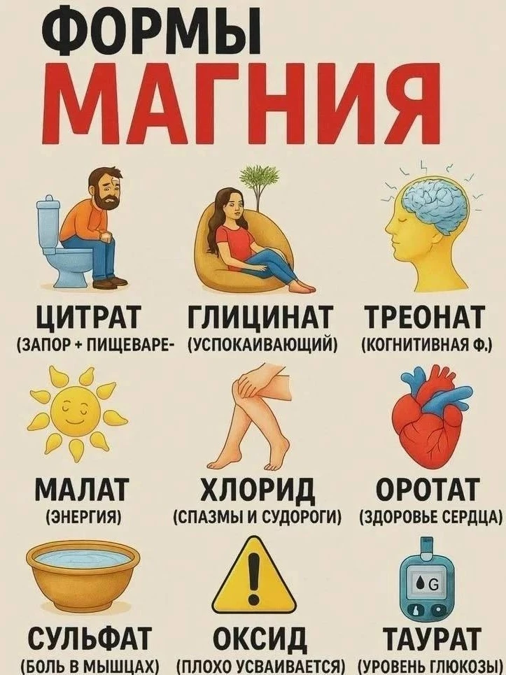 Шпаргалка по магнию: какая форма для чего и на что влияет 🤫💊