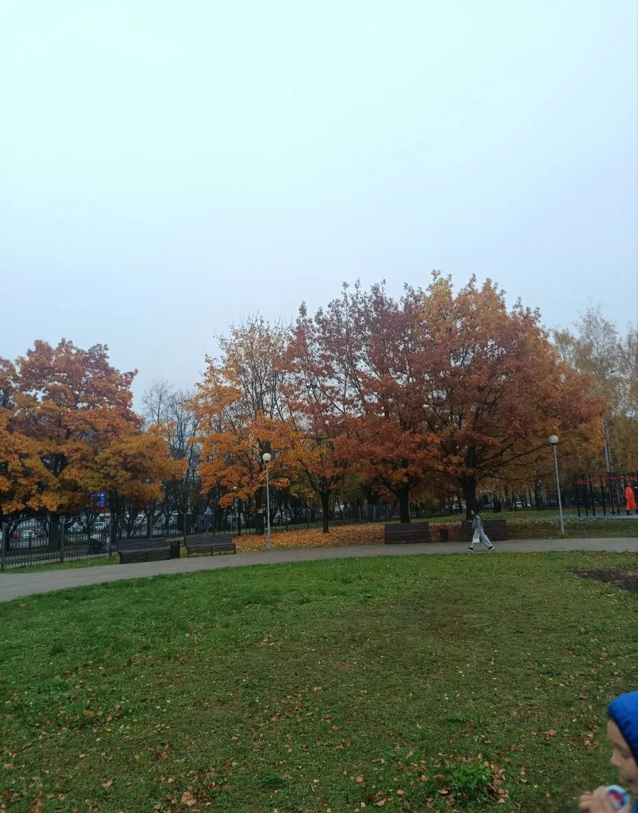 Осень