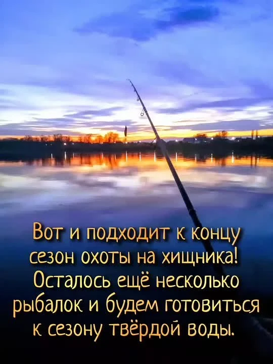 https://vk.ru/wall-11865089_1920773