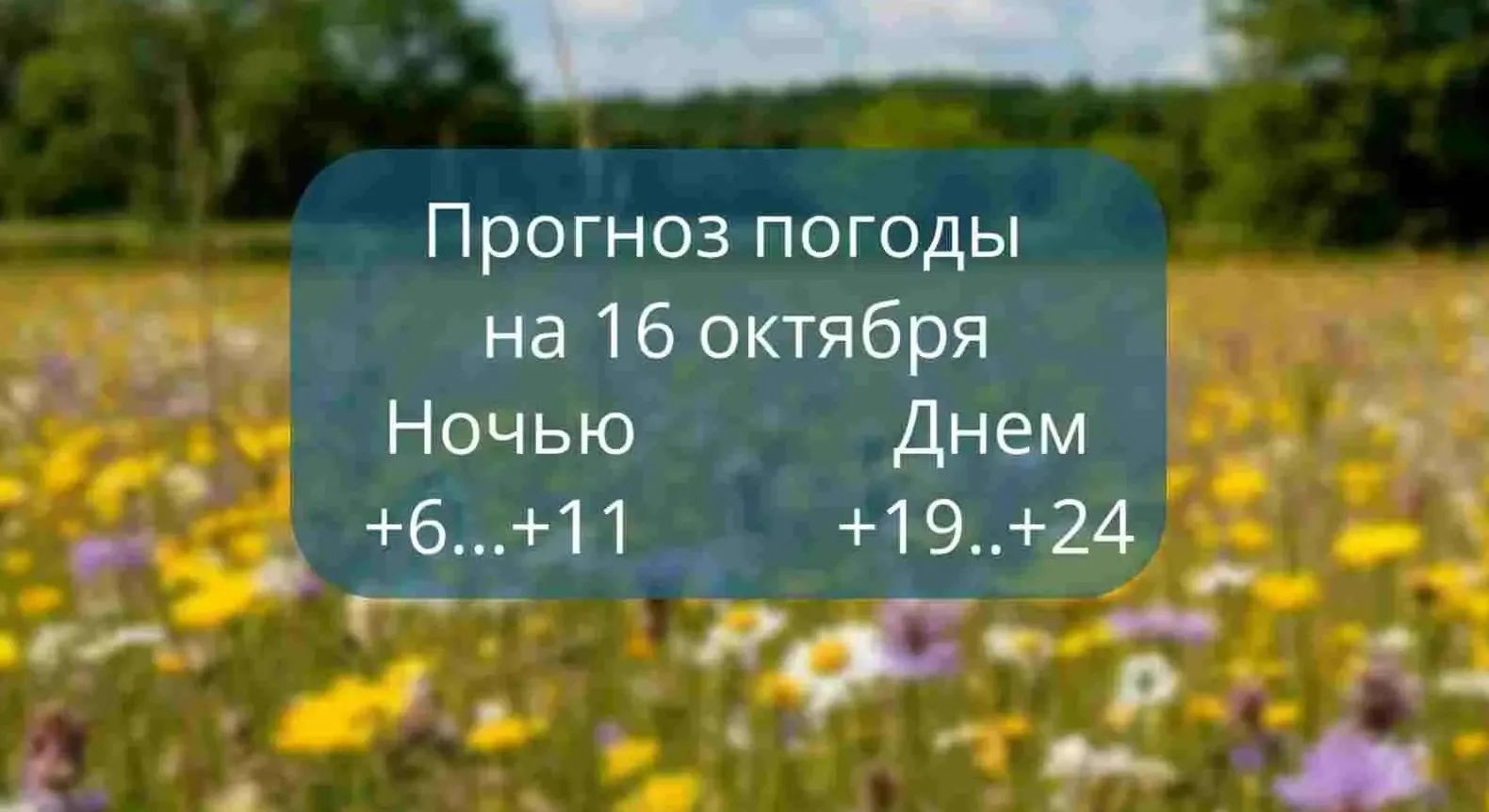 Прогноз погоды на 16 октября