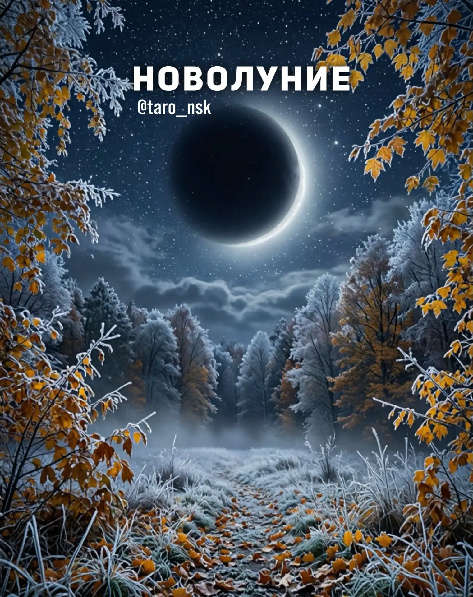 Новолуние 10 октября🌚