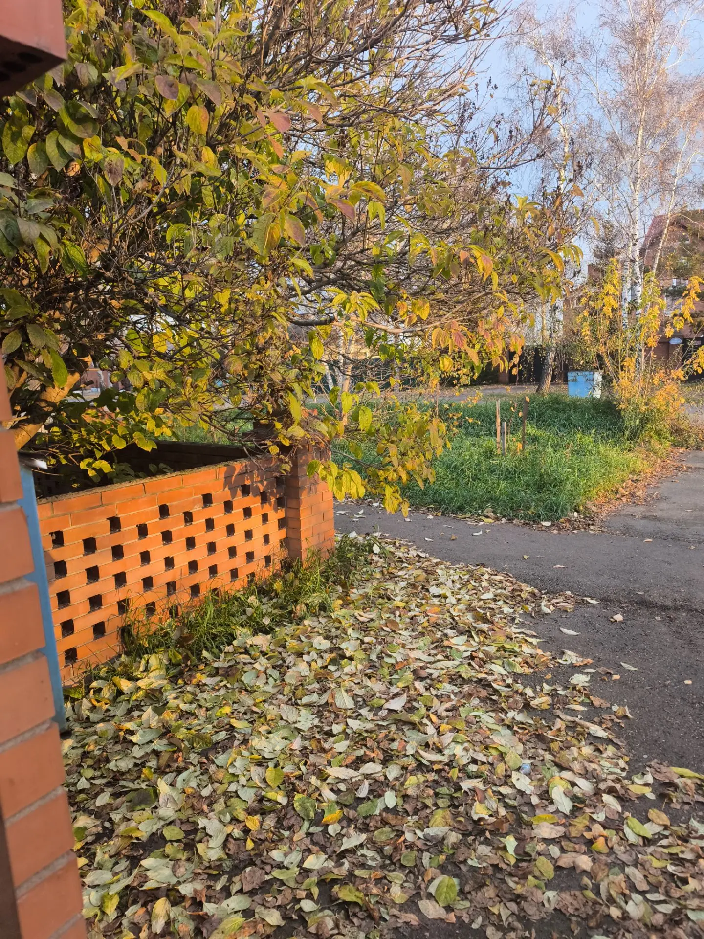 ДОБРОГО УТРА! 🌞