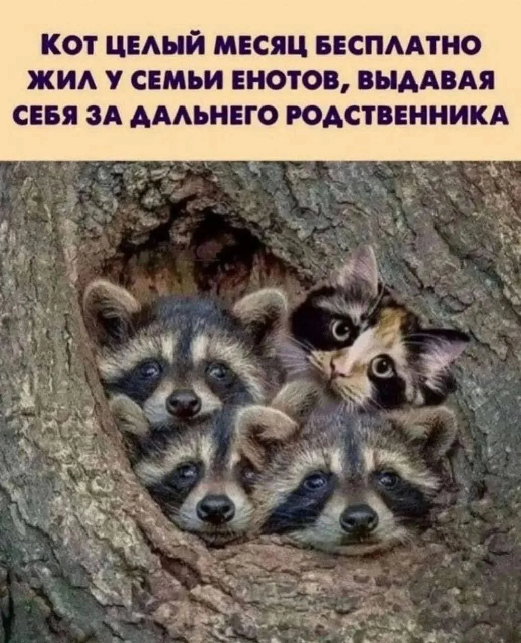 Понравился контент? Подпишись на наш второй канал MAXимально вкусно!