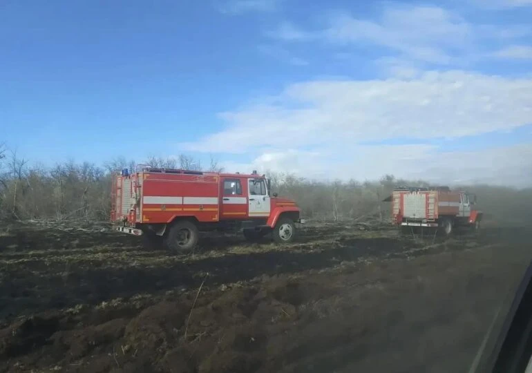 ❗️В Большеглушицком районе ликвидировали лесной пожар на площади 5,2 га