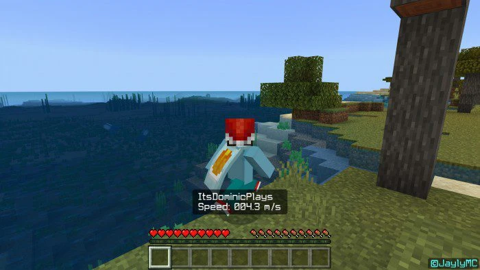 Speedometer Addon (1.20)