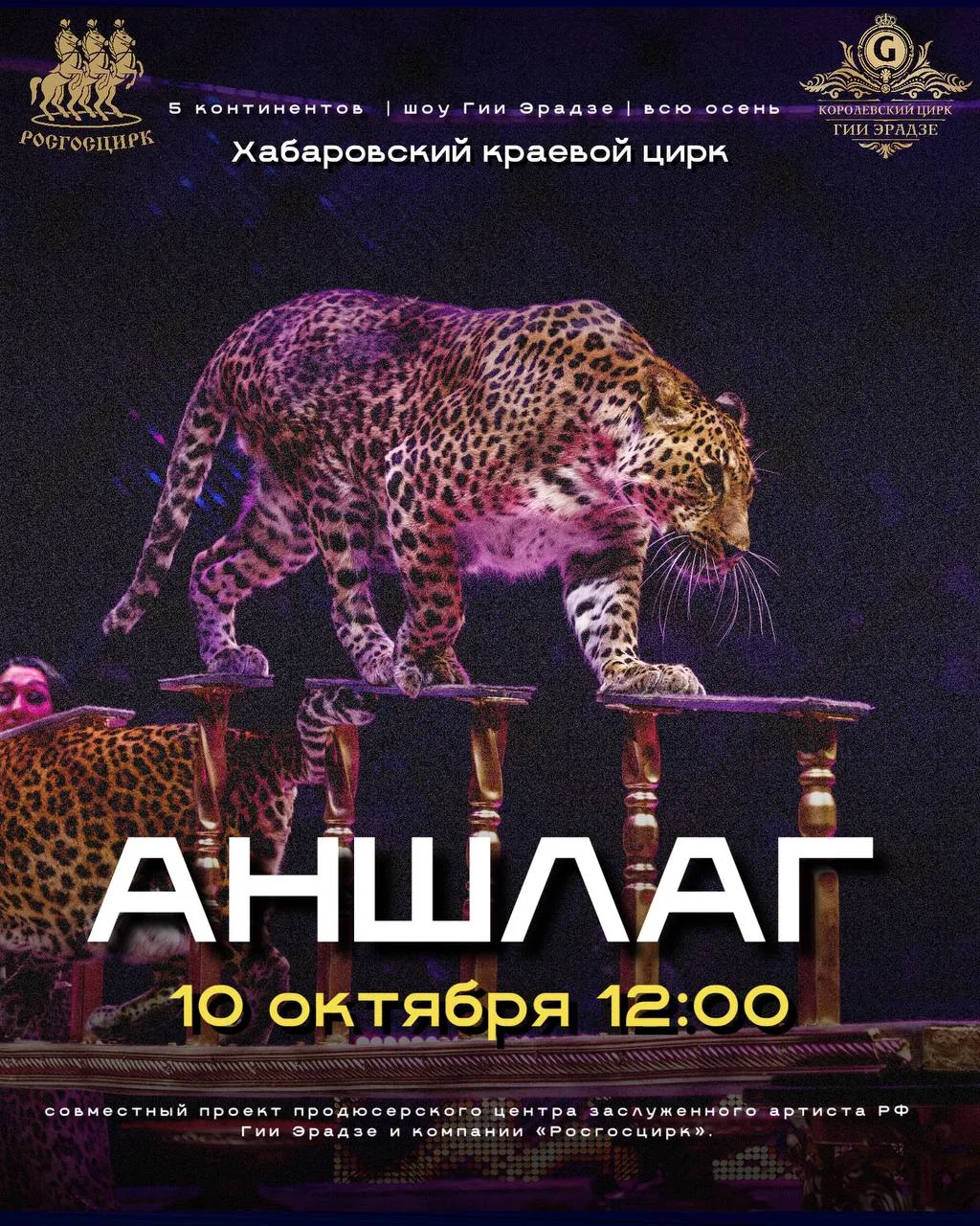 АНШЛАГИ В ХАБАРОВСКЕ ПРОДОЛЖАЮТСЯ! ⚡️