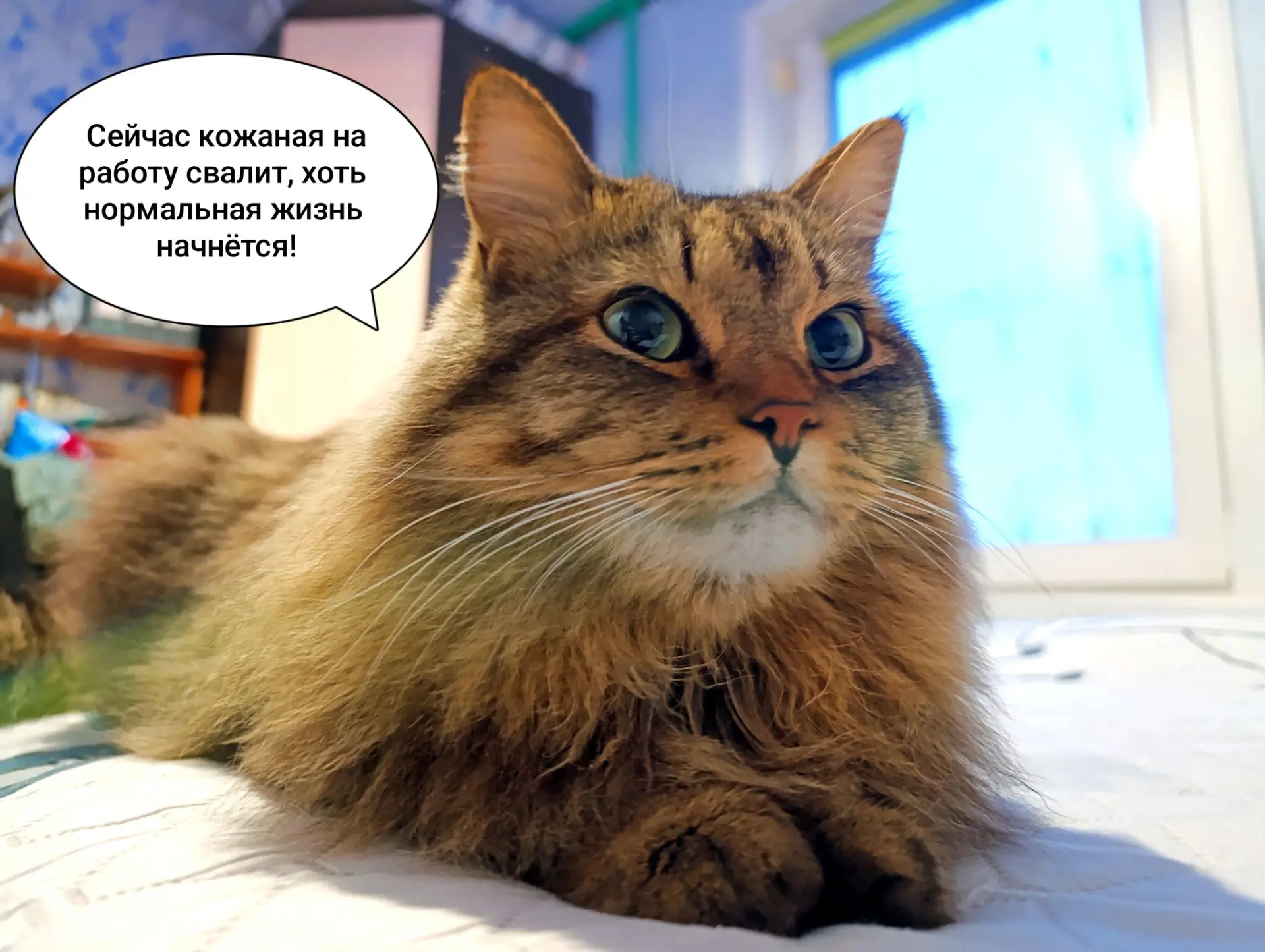 Ну это вчера меня Масенька просил не плакать ⬆️⬆️⬆️