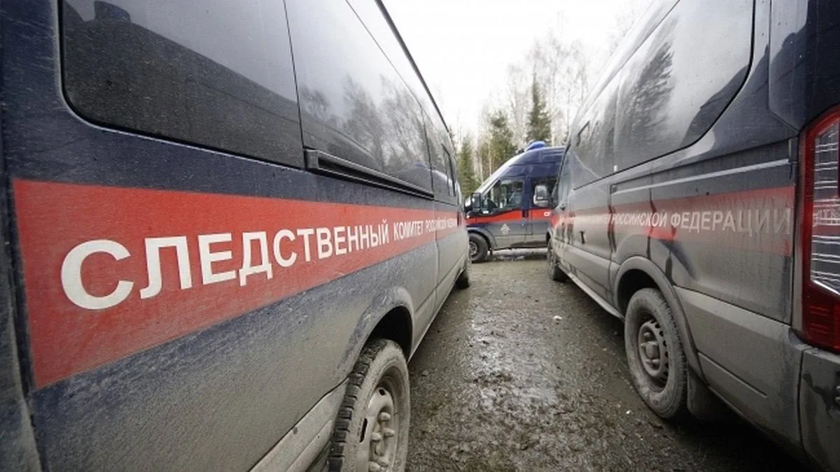 Бастрыкин запросил доклад о нападении собак на 12-летнюю девочку в Кузбассе