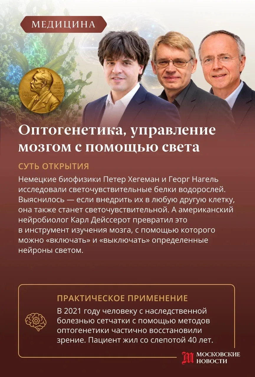 🏅 Если вы следили за вручением Нобелевской премии и тоже услышали много непонятных сло...