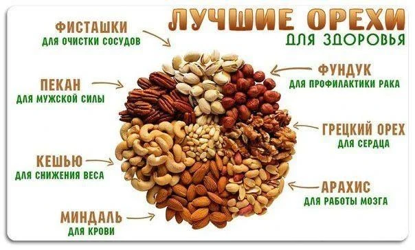 Лучшие и доступные орехи для нашего тела.