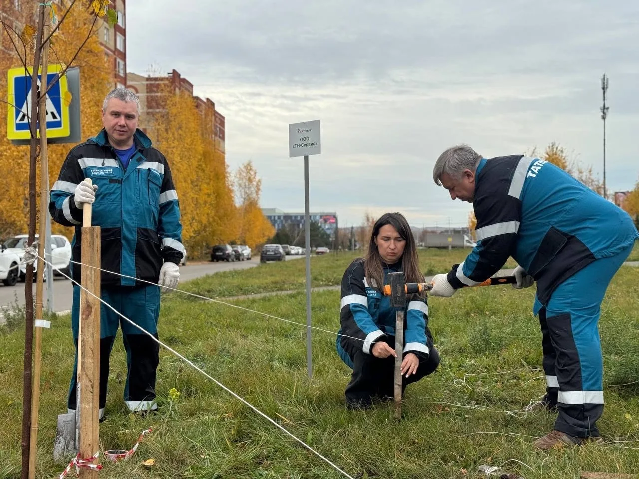 🌳 Аллея на улице Аминова станет зеленее