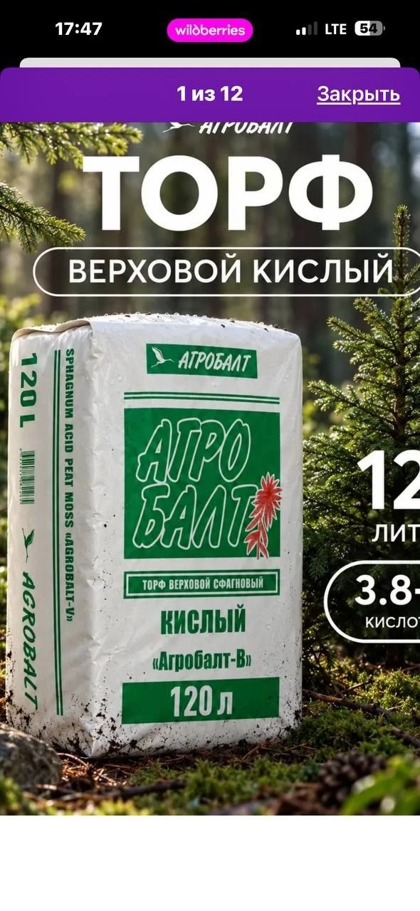 РУБРИКА