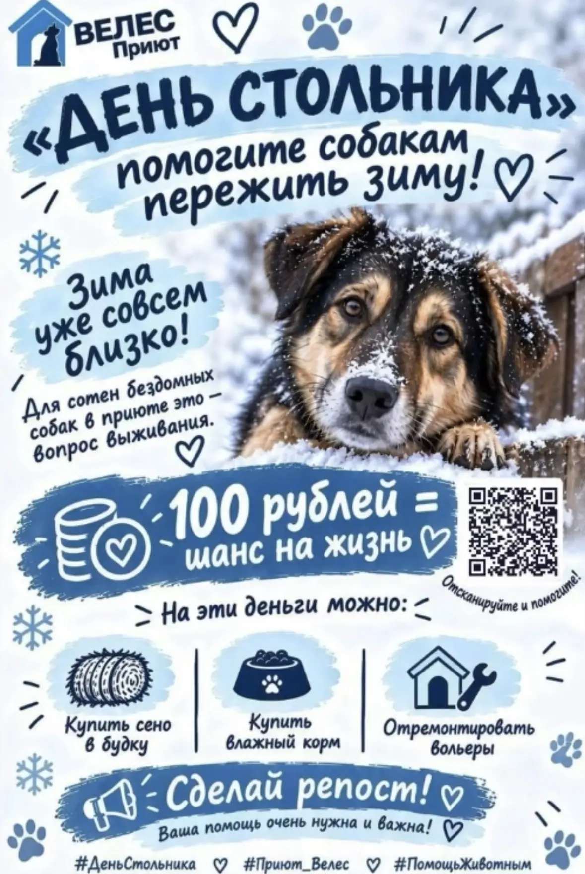 «День стольника»: поможем собакам пережить зиму! ❄️