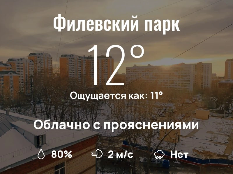 Что с погодой в Филевском парке?