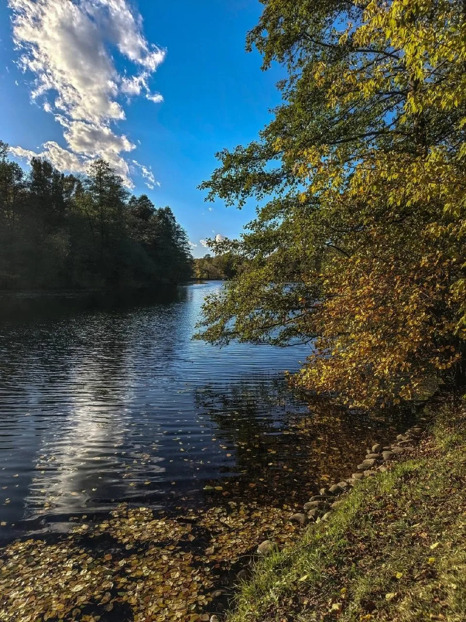 Осенний наряд нашего прекрасного парка 🍂
