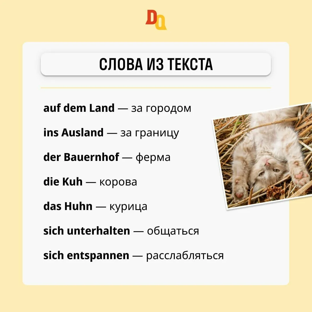 Text A2 📖
