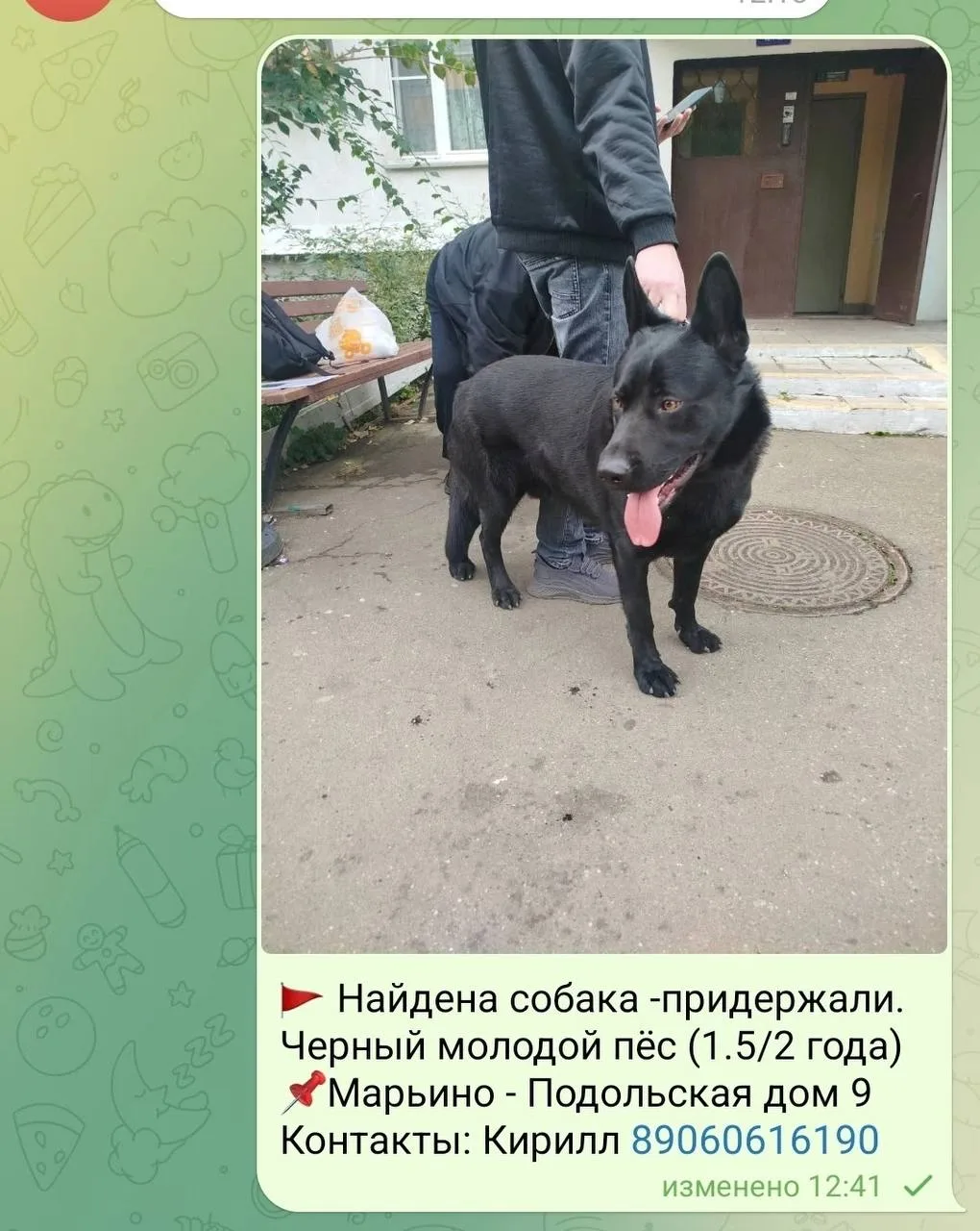 Соседи нашли собачку в районе. Чья #потеряшка? 😢