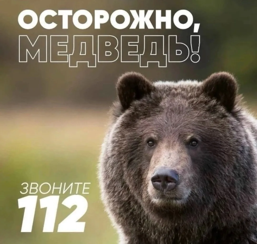 За прошедшие сутки на территории Енисейского муниципального округа зафиксировано 1 сооб...