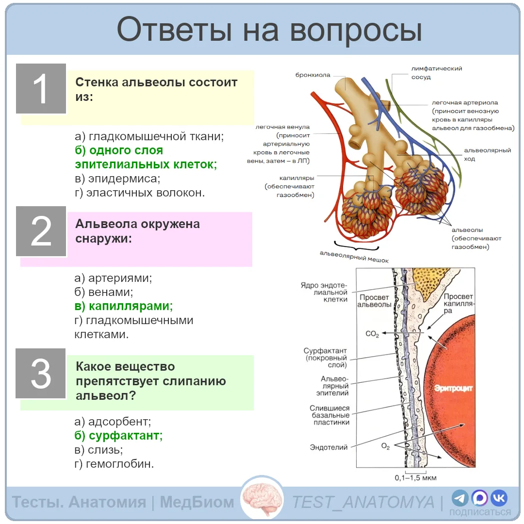 ⬆️ Ответы на вопросы
