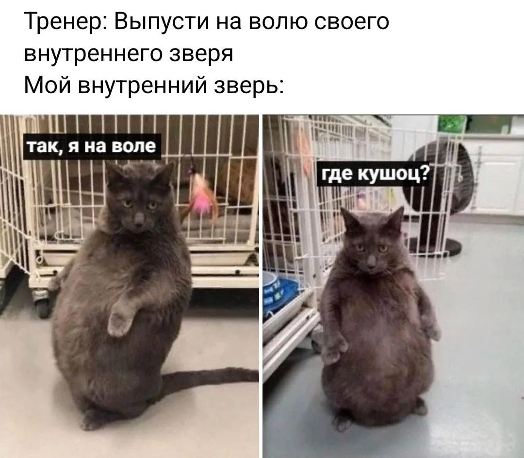 Доброе утро, друзья❤️